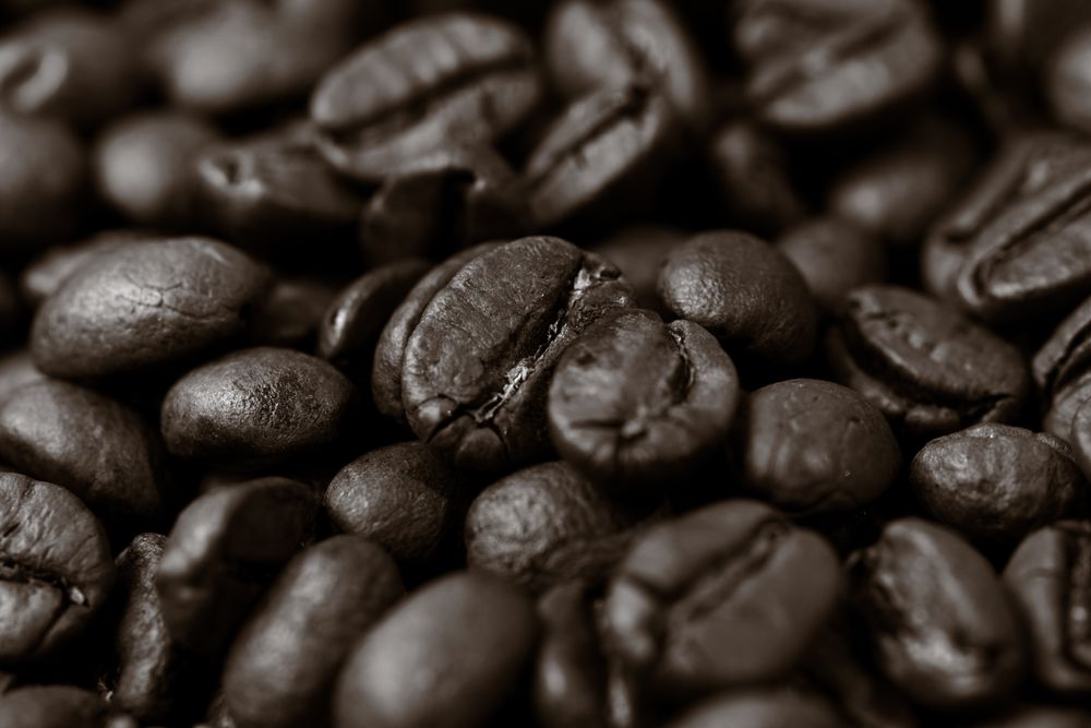 Freshly roasted coffee beans